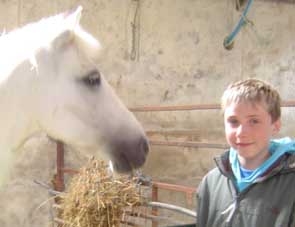 David & pony